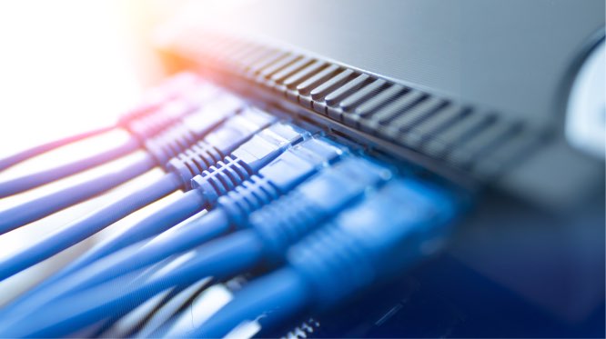 plugs coming out of the back of equipment